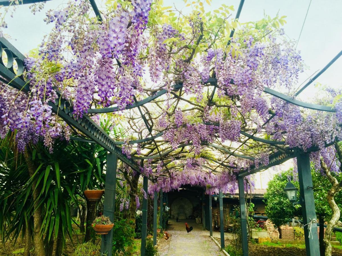 B&B San Paolo Campagna Zewnętrze zdjęcie